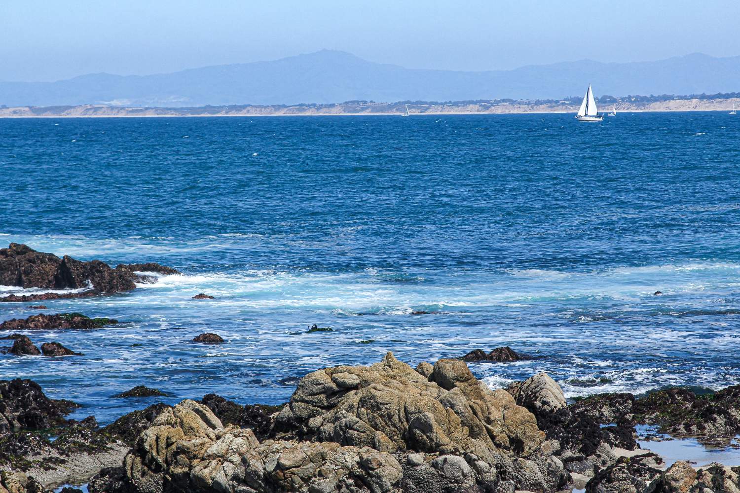 Solve THE CENTRAL CALIFORNIA COAST jigsaw puzzle online with 96 pieces
