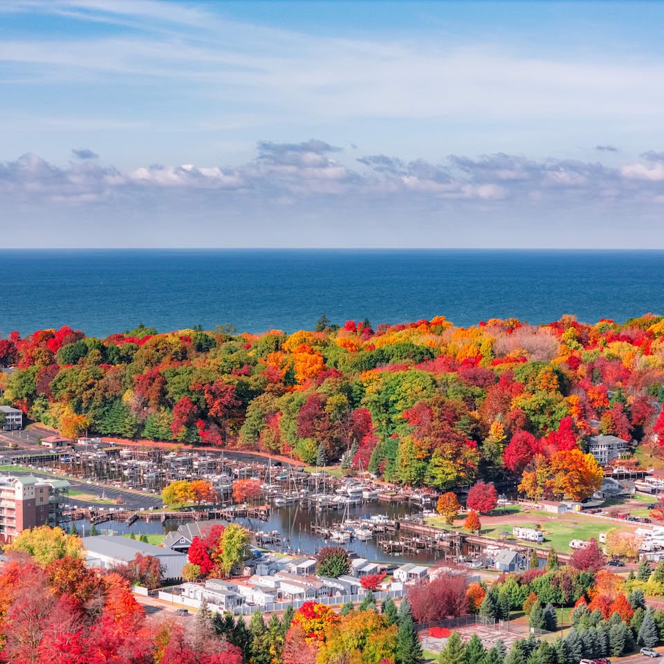 Mi Solves Solve South Haven, MI in full fall colors jigsaw puzzle online with 121 ...