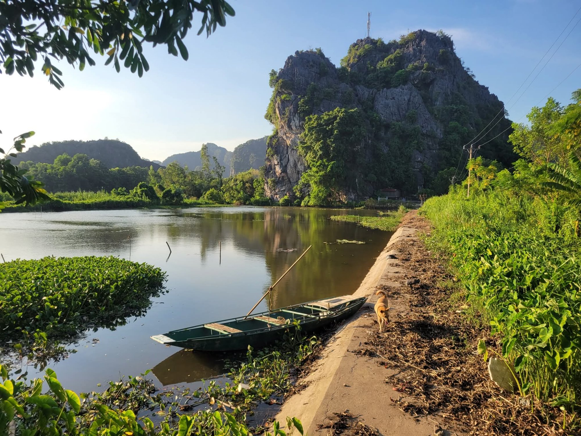 Solve Nature jigsaw puzzle online with 450 pieces