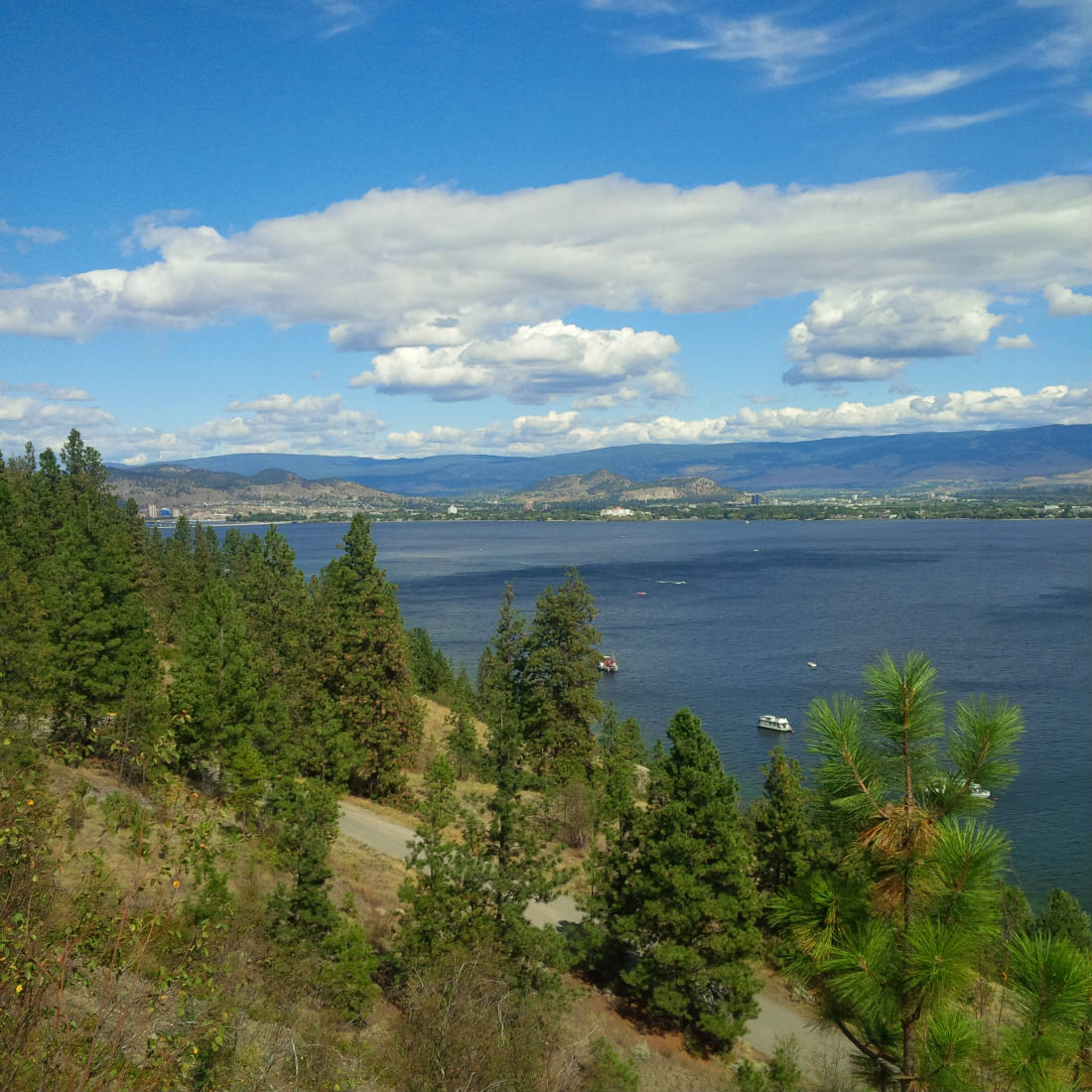 Solve Kelowna Canada jigsaw puzzle online with 121 pieces