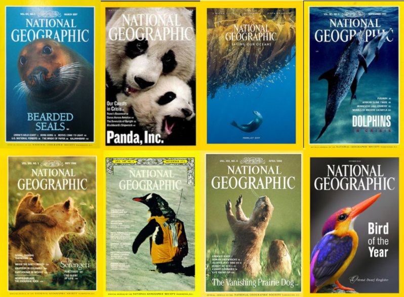 Solve nat geo covers jigsaw puzzle online with 130 pieces