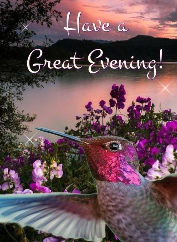 「good evening」 Solve Good Night - Have a Great Evening! jigsaw puzzle online with