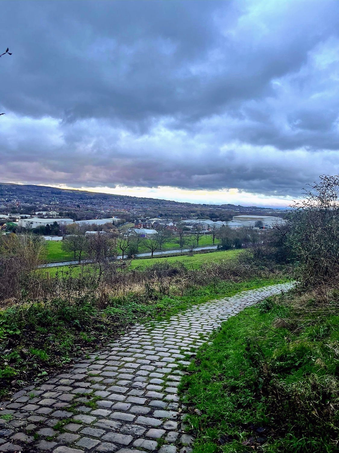 Jumbled Path Solve Cobbled Pathway jigsaw puzzle online with 48 pieces