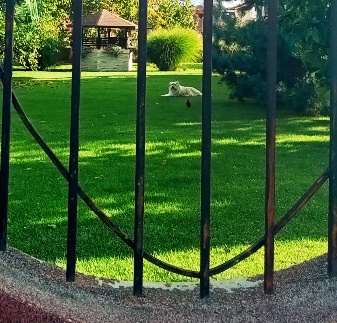 Solve Relaxation jigsaw puzzle online with 25 pieces