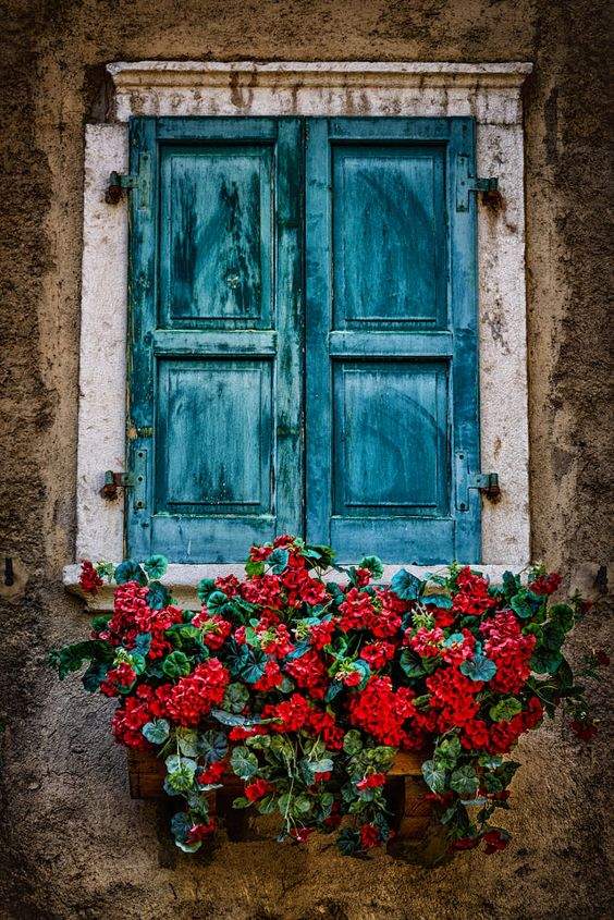 Solve Blue Shutters jigsaw puzzle online with 126 pieces