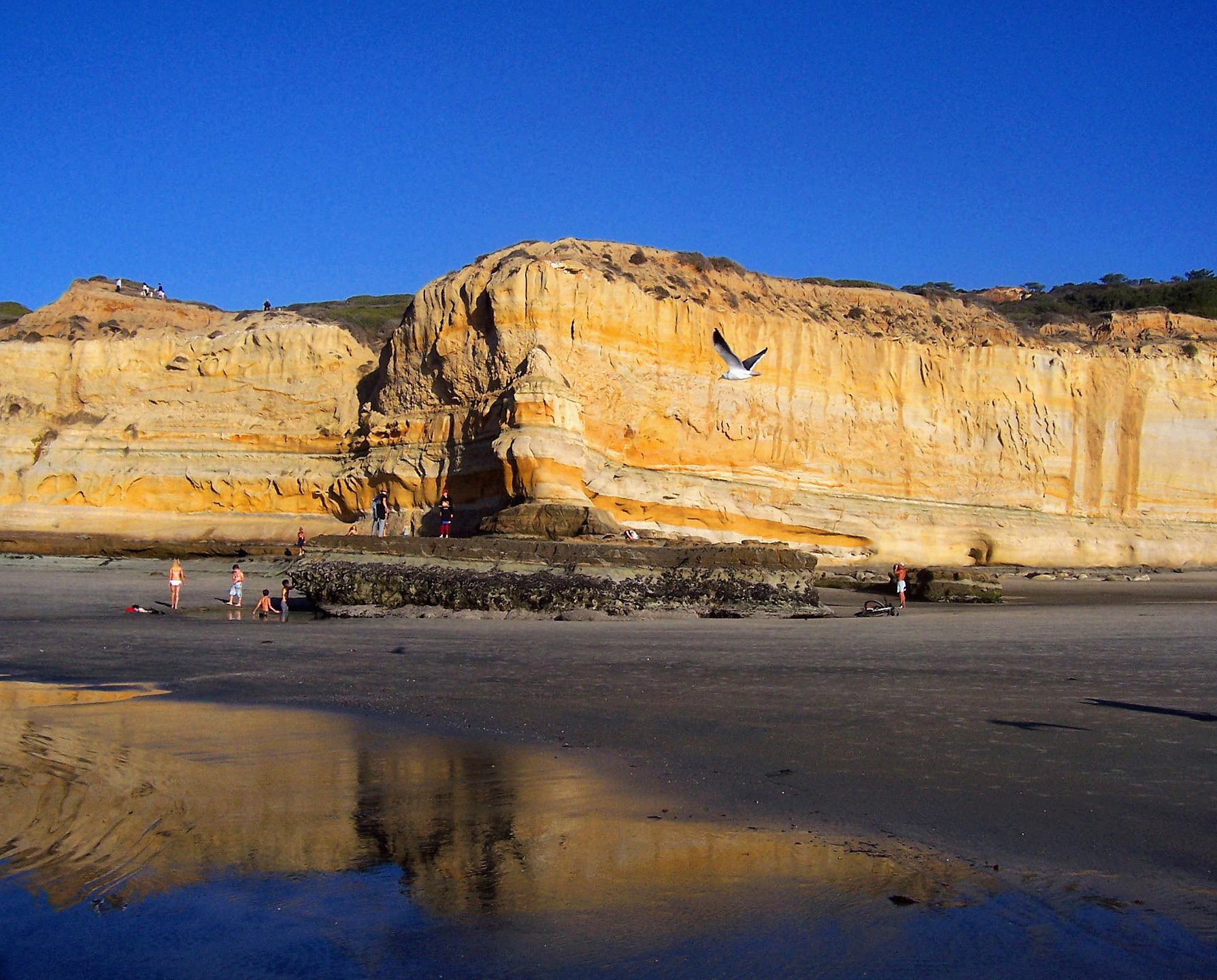 Solve Torrey Pines Beach Low Tide jigsaw puzzle online with 154 pieces