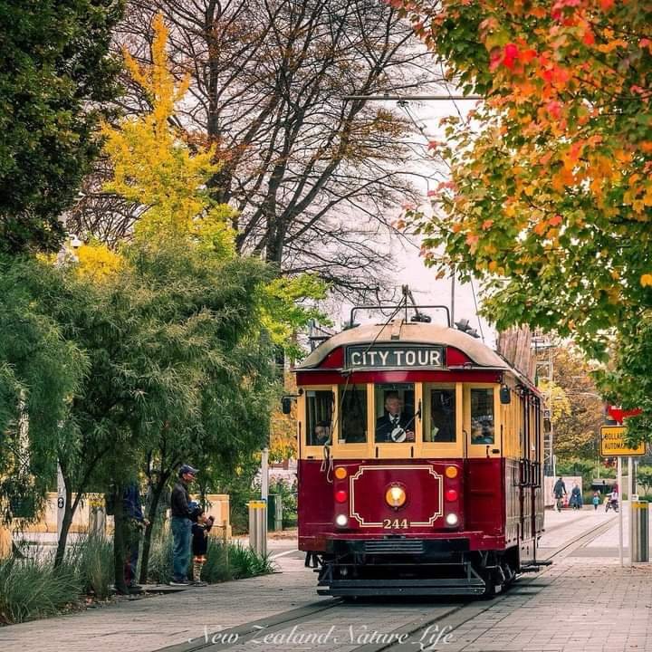 Solve Christchurch tourist tram jigsaw puzzle online with 36 pieces