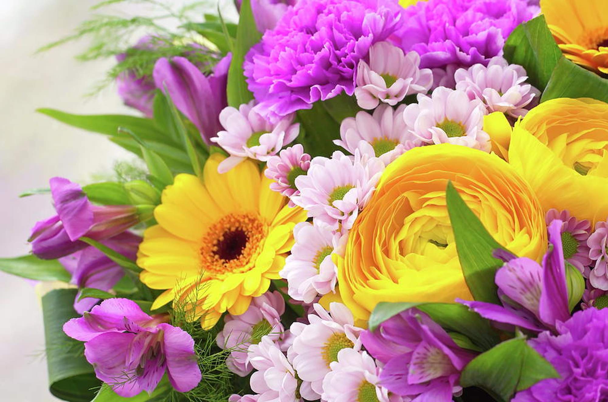 Solve Floral Arrangement jigsaw puzzle online with 442 pieces