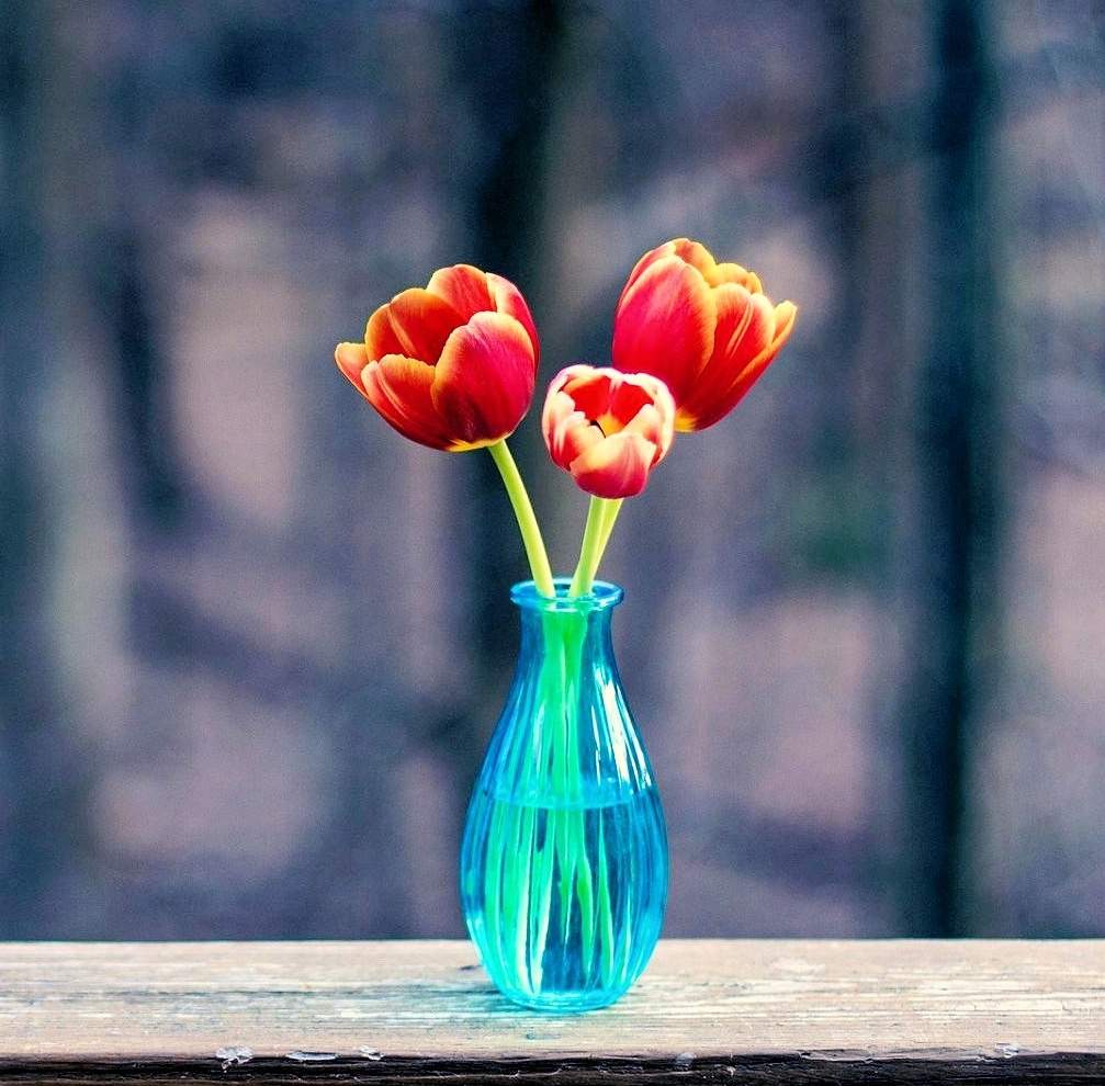 Solve Red Tulips Blue Vase (resize 9 to 256 pieces) jigsaw puzzle
