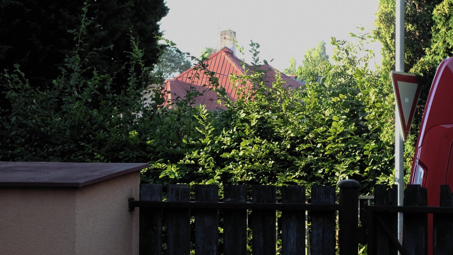 Solve Za plotem Behind the fence jigsaw puzzle online with 15 pieces