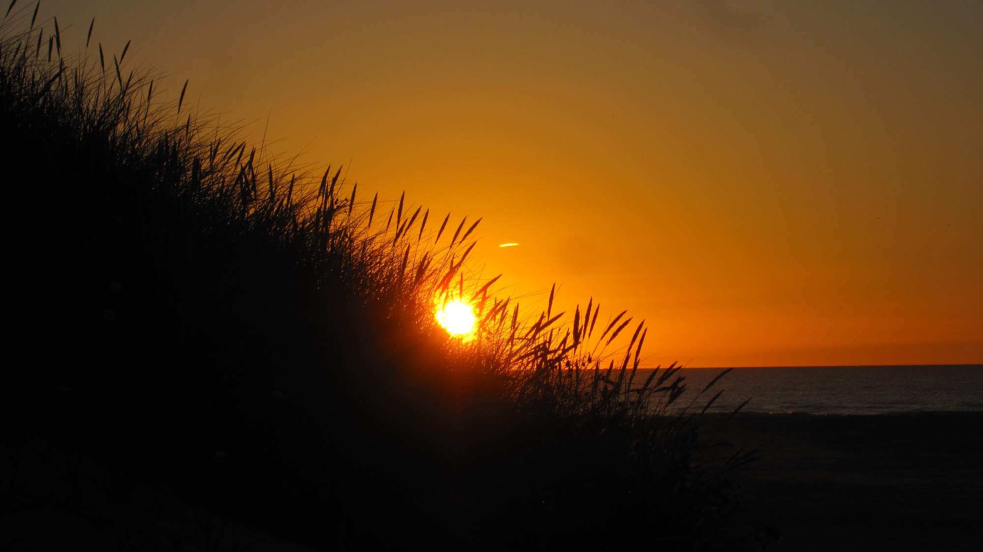 Solve Tag am Meer 4 jigsaw puzzle online with 198 pieces