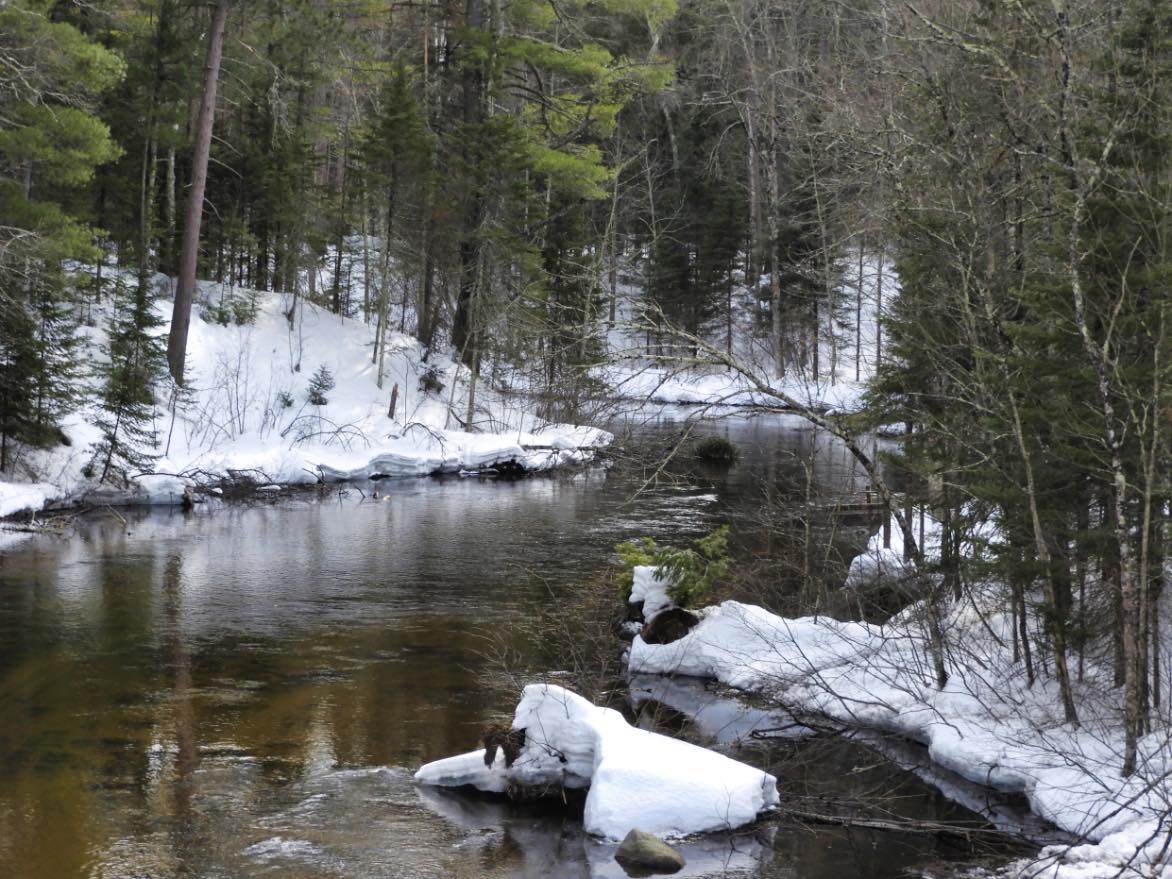 Solve The Brule River, near Brule, WI jigsaw puzzle online with 20 pieces