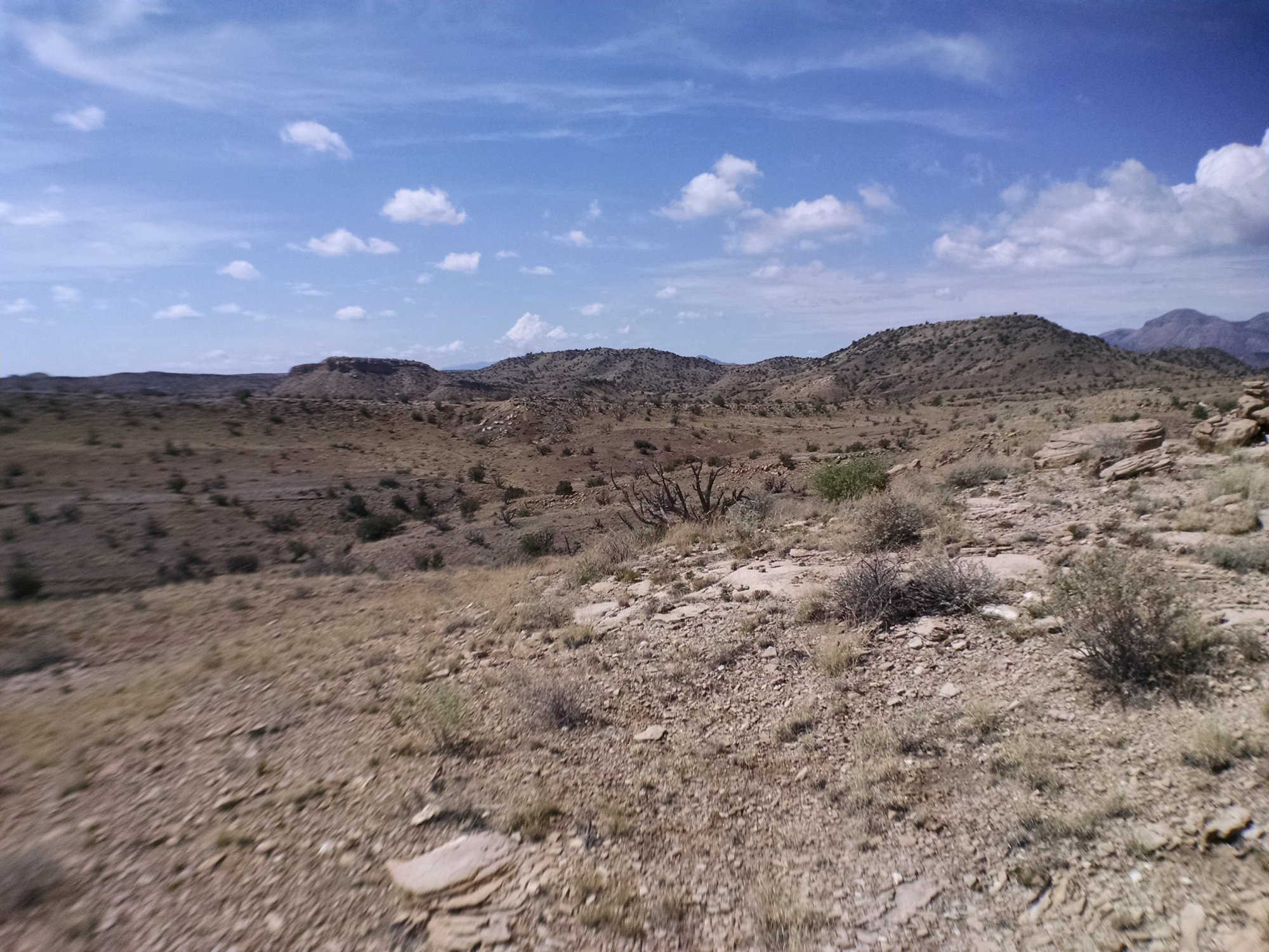 Solve New Mexico Range Land jigsaw puzzle online with 130 pieces