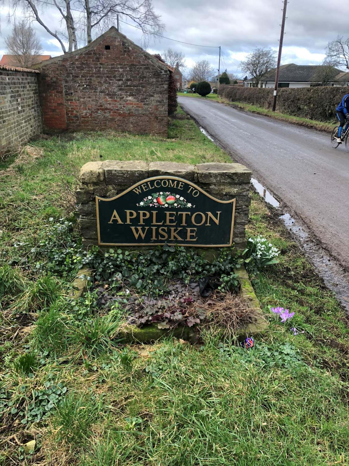 Solve Appleton Wiske jigsaw puzzle online with 108 pieces