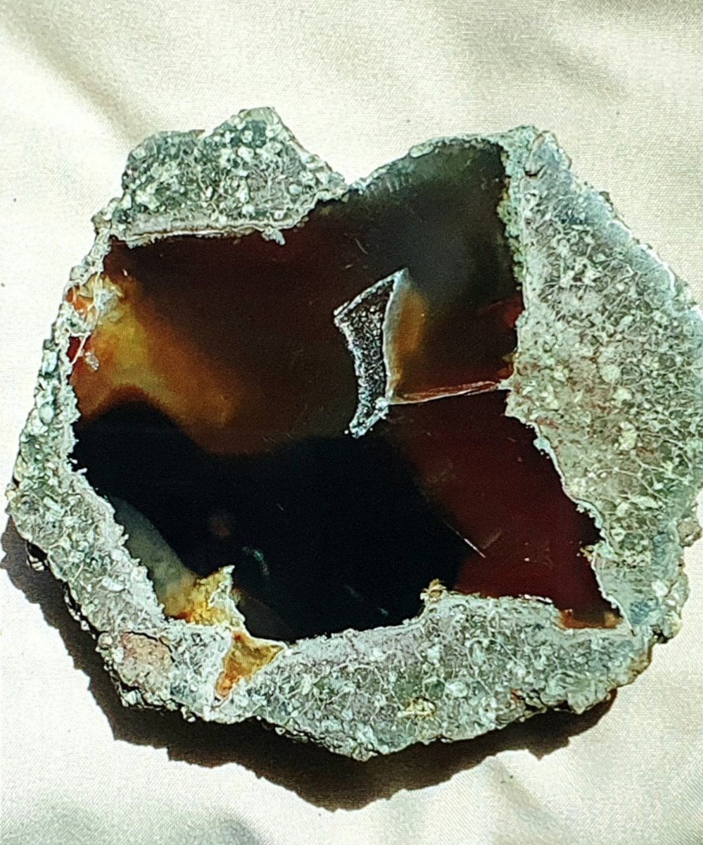 Solve The black bear disappears into the shadows as he trys to disguise