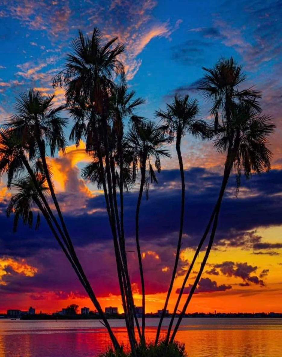 Solve Sunset from Edgewater Drive Dunedin FL jigsaw puzzle online with