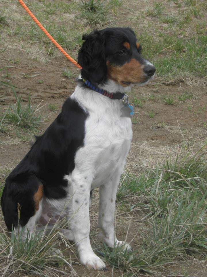 Solve Holden "Gunny" St. Keller jigsaw puzzle online with 130 pieces