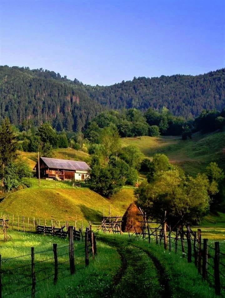 Solve Příroda... jigsaw puzzle online with 63 pieces