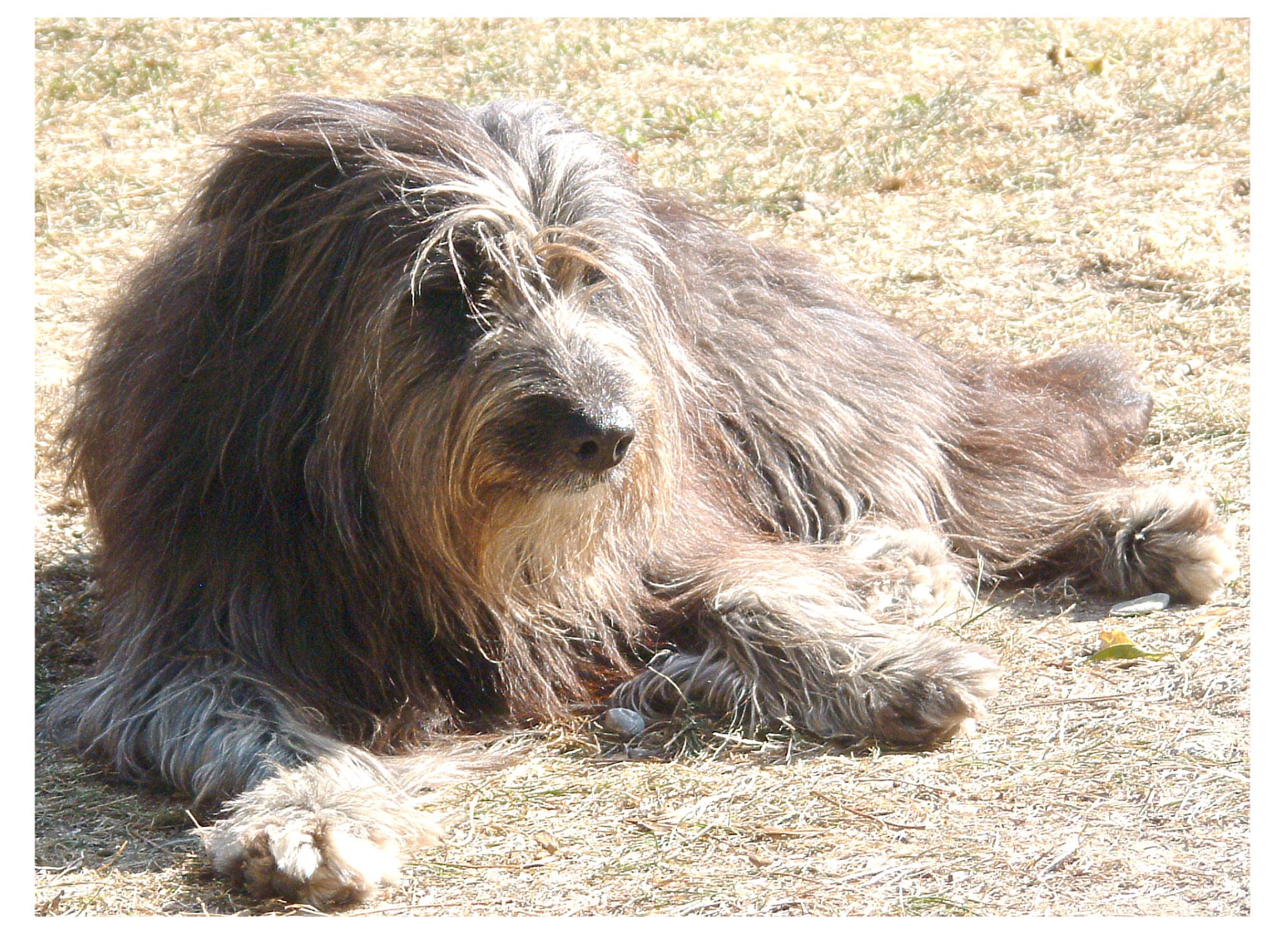 Solve Tessa jigsaw puzzle online with 70 pieces