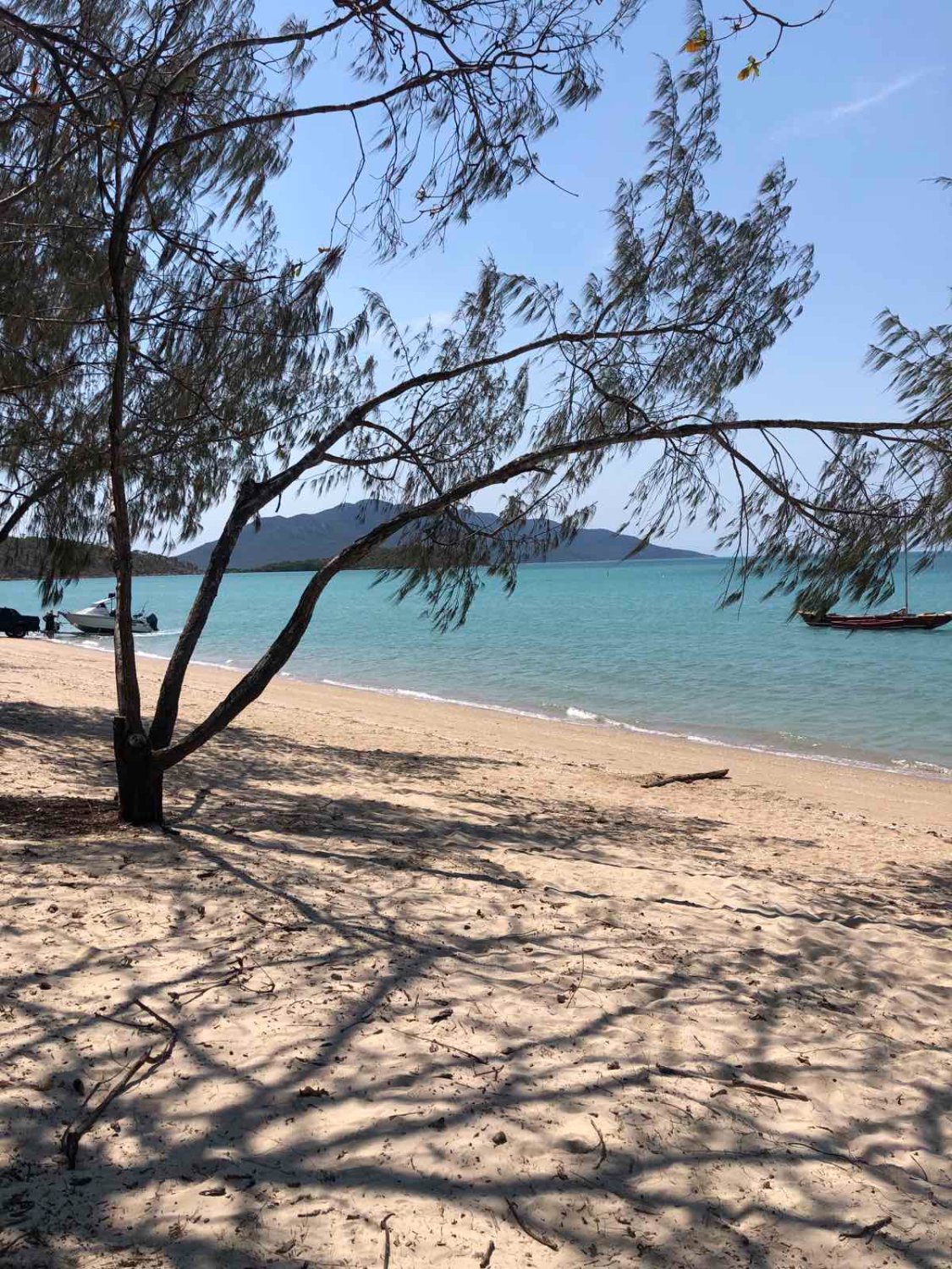 Solve Dingo Beach, Queensland jigsaw puzzle online with 48 pieces