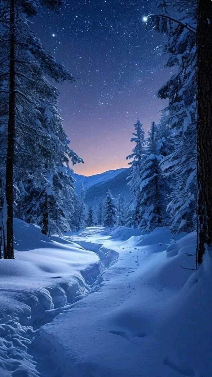 Пісня про миколая вже надходить ніч чарівна