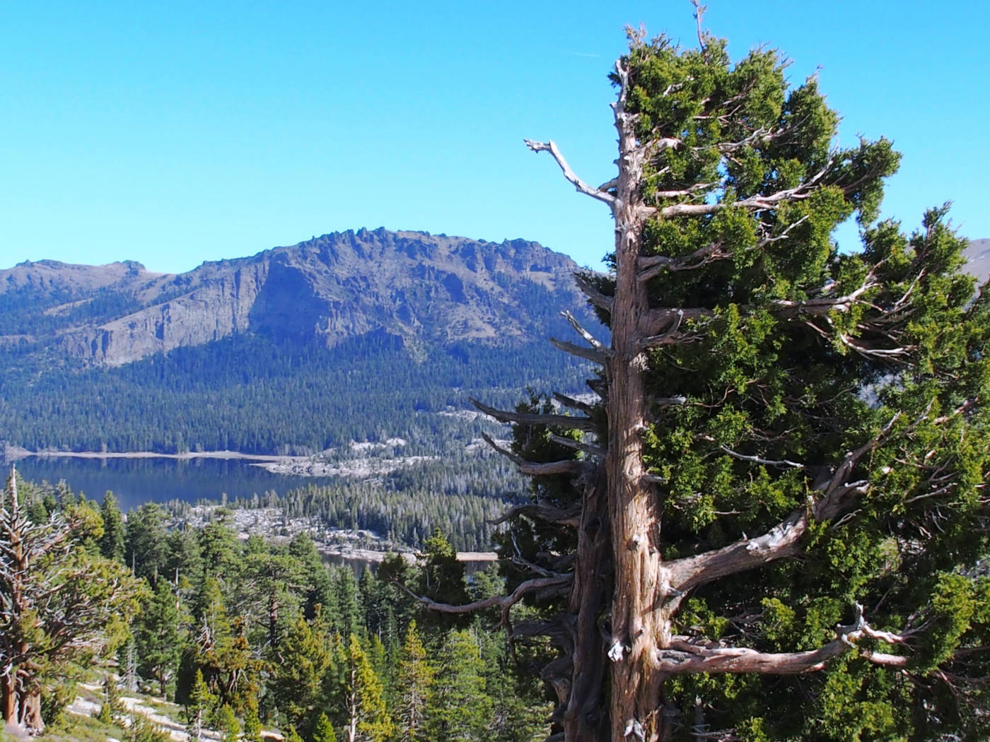 Solve Sierra Nevada mountains, California jigsaw puzzle online with 154