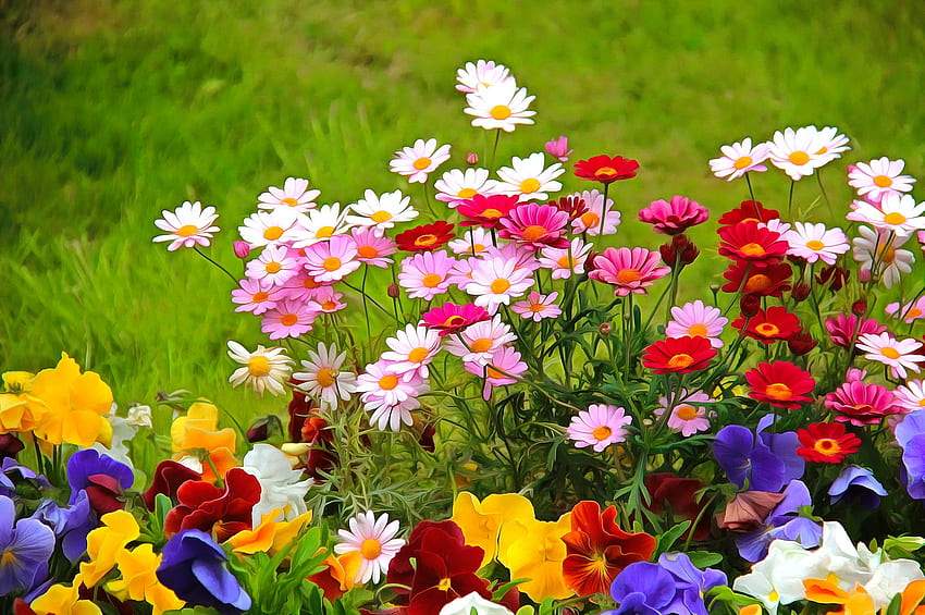 Solve Gardenflowers. jigsaw puzzle online with 70 pieces