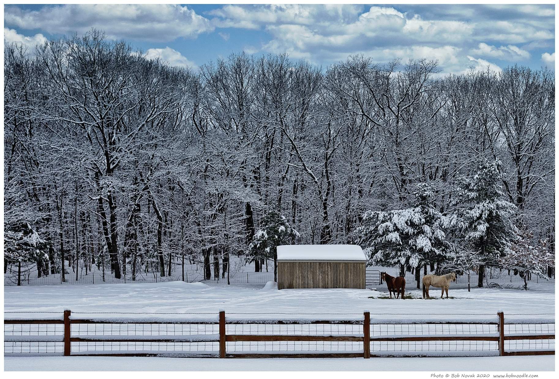 Solve A Brisk Winter Afternoon in The Horse Pasture.. jigsaw puzzle