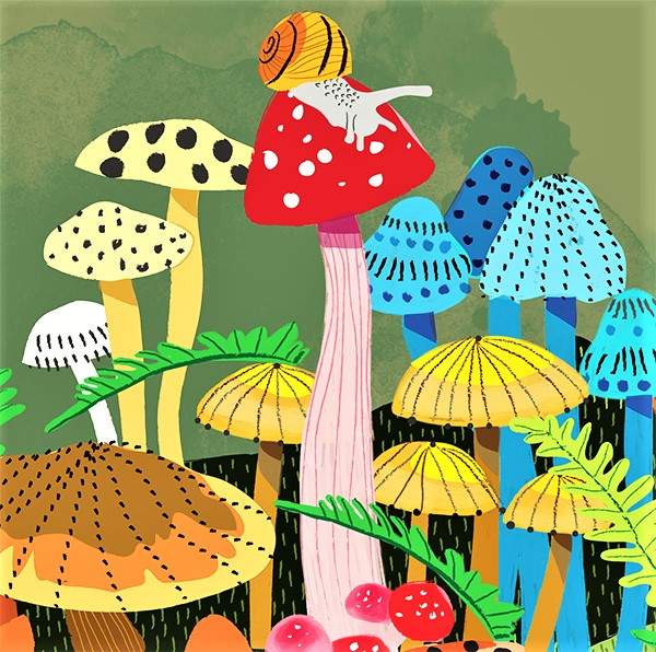 Solve Toadstools jigsaw puzzle online with 64 pieces