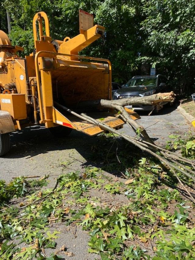 Solve Wood chipper 2 jigsaw puzzle online with 20 pieces