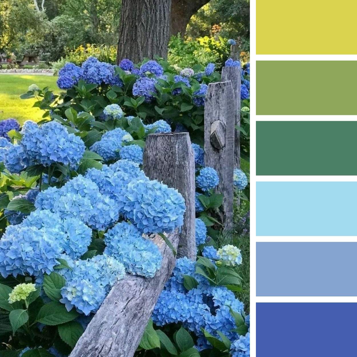 hydrangea スクエアメモ 12点 Solve Blue Hydrangea (Medium) jigsaw puzzle online with 100