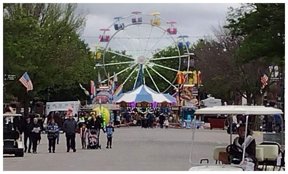 Solve Carnival, Tulip Festival jigsaw puzzle online with 40 pieces