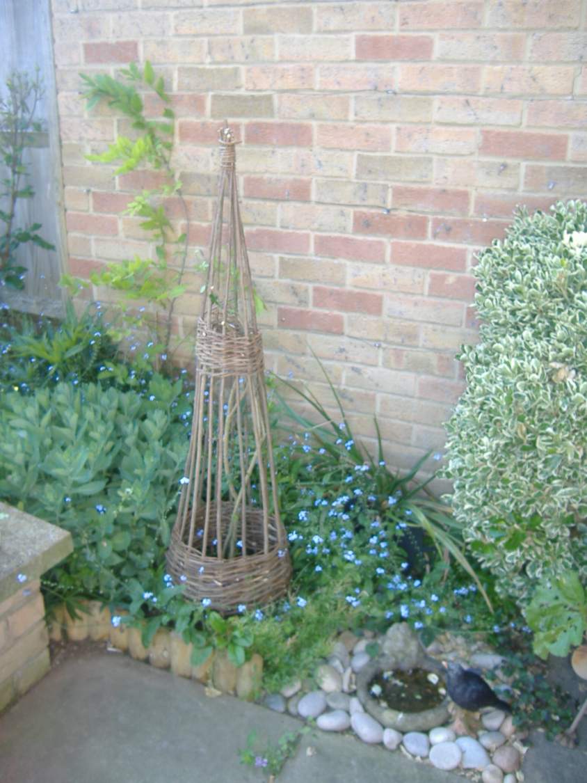 Solve 2023 Spring Natural Obelisk Support for Winter Flowering Jasmine jigsaw puzzle online