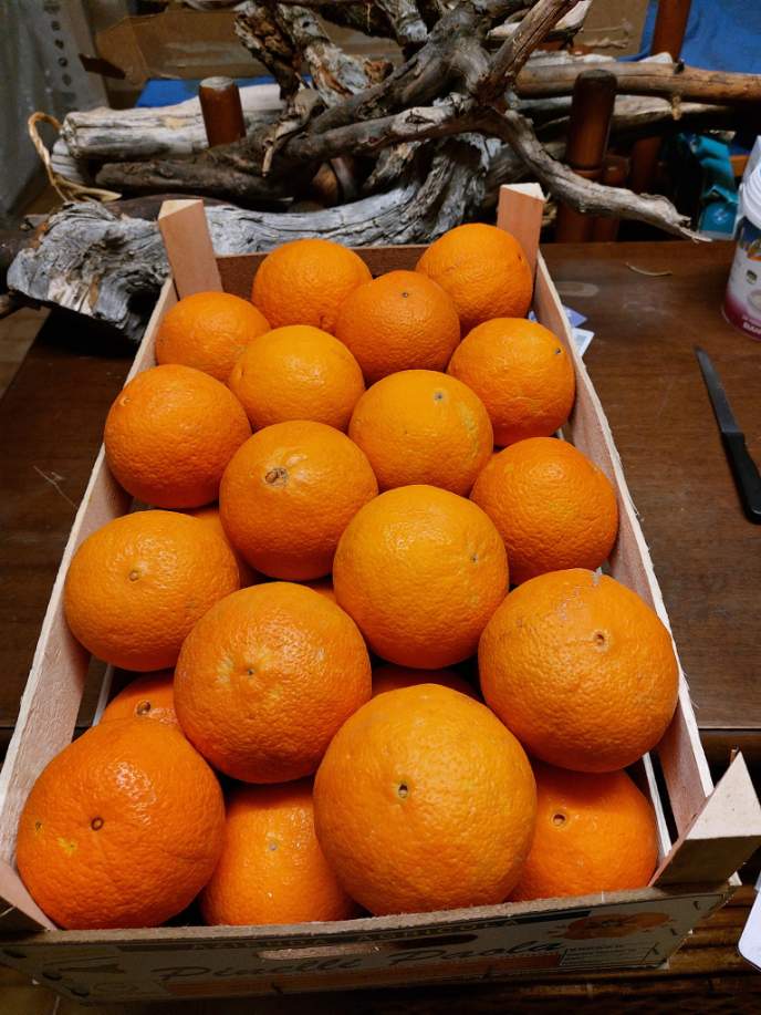 Solve making orange marmalade jigsaw puzzle online with 12 pieces