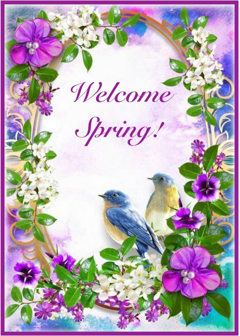 Welcom Spring Puzzle Solve Welcome Spring! jigsaw puzzle online with 48 pieces
