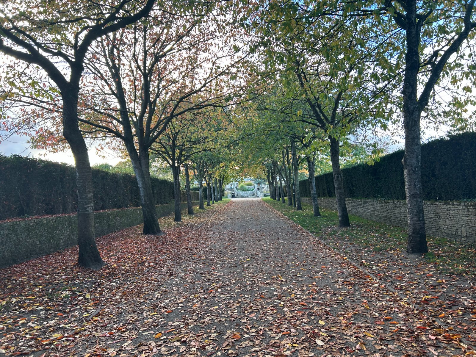 Solve Tree Lined Path jigsaw puzzle online with 48 pieces
