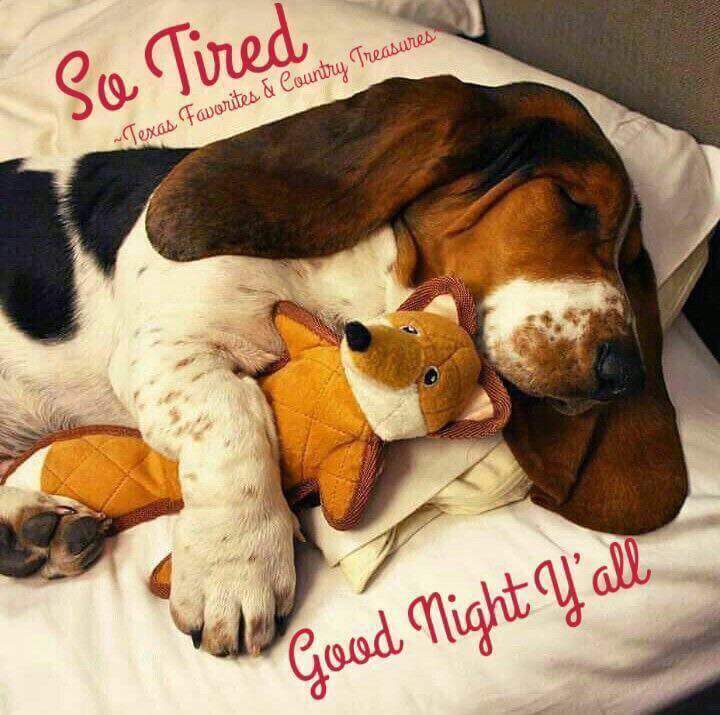 Solve Good Night - Sweet Dreams jigsaw puzzle online with 64 pieces