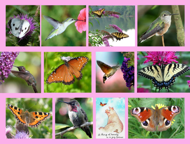 Puzzle Rys Solve Who Knew??? jigsaw puzzle online with 12 pieces