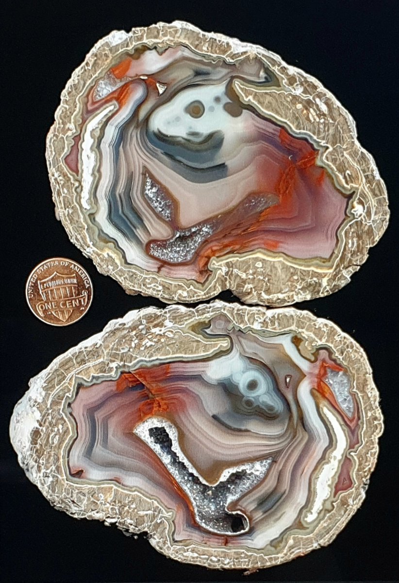 Solve A penny for oysters on the half shell? Dream on! Inflation rules