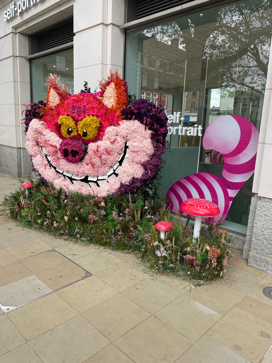 Solve Chelsea jigsaw puzzle online with 300 pieces