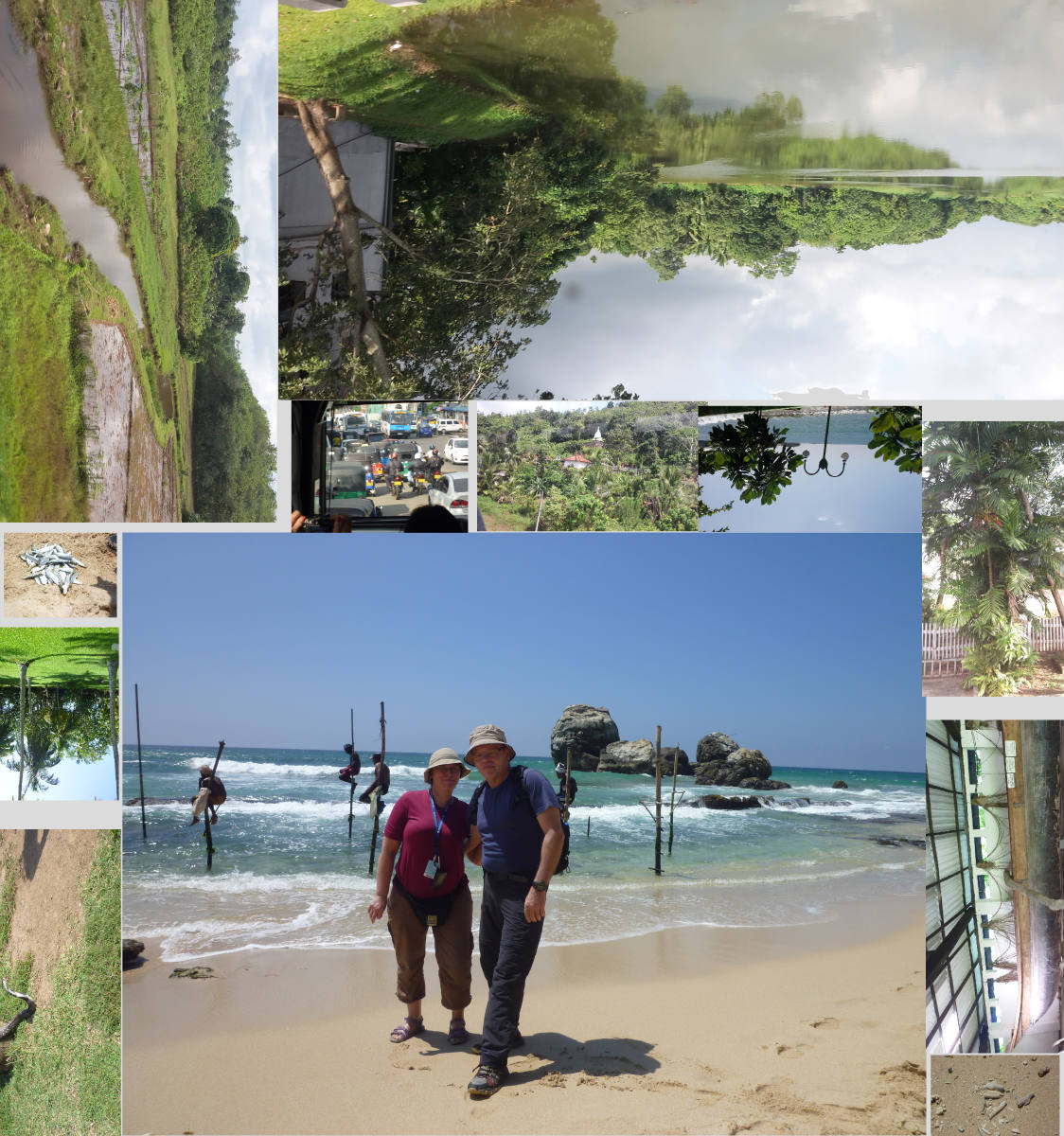 Solve Sri Lanka jigsaw puzzle online with 380 pieces