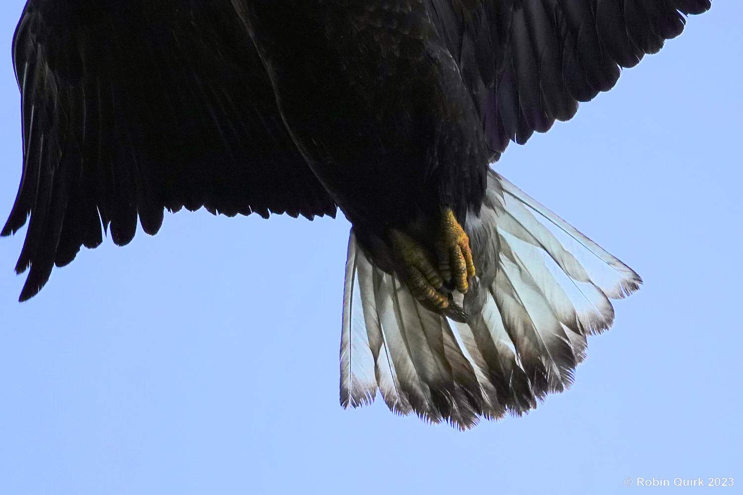 Solve Overhead jigsaw puzzle online with 54 pieces