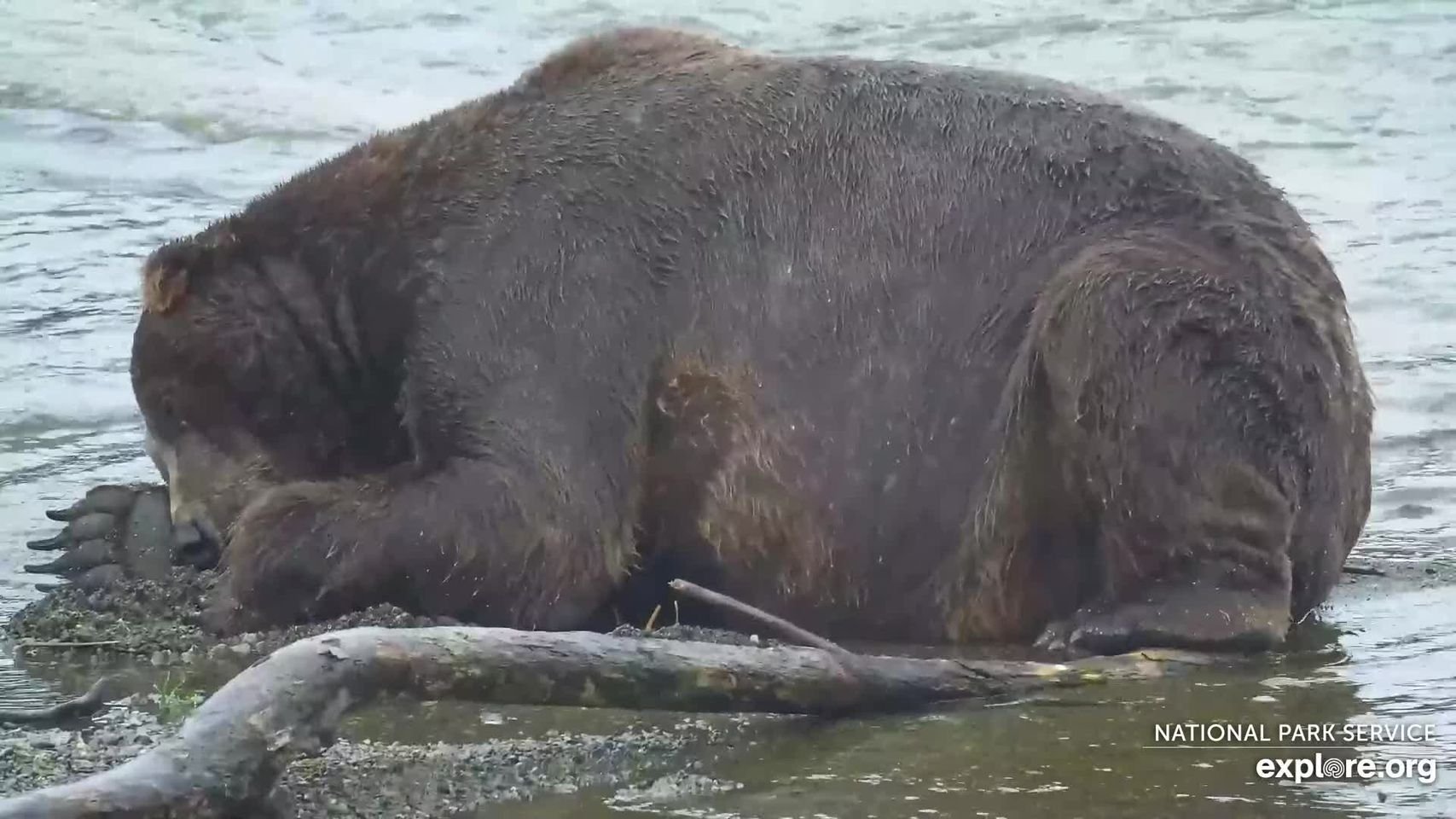 Solve 747 Jigsaw Puzzle Online With 180 Pieces