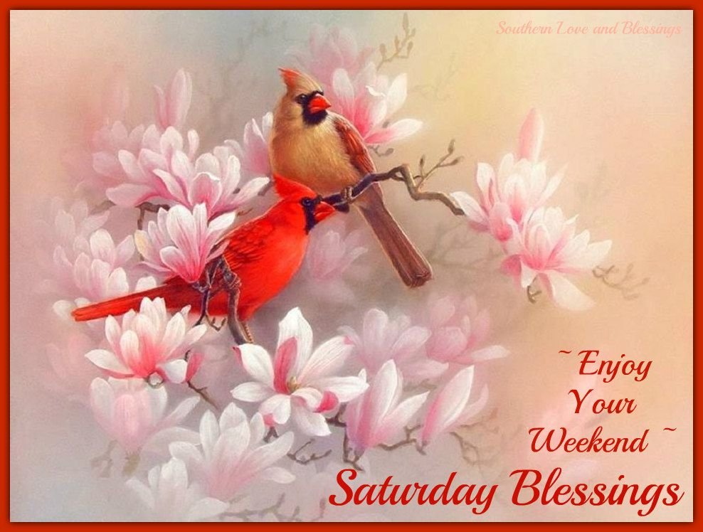 Solve Good Morning - Saturday Blessings! jigsaw puzzle online with 63 pieces