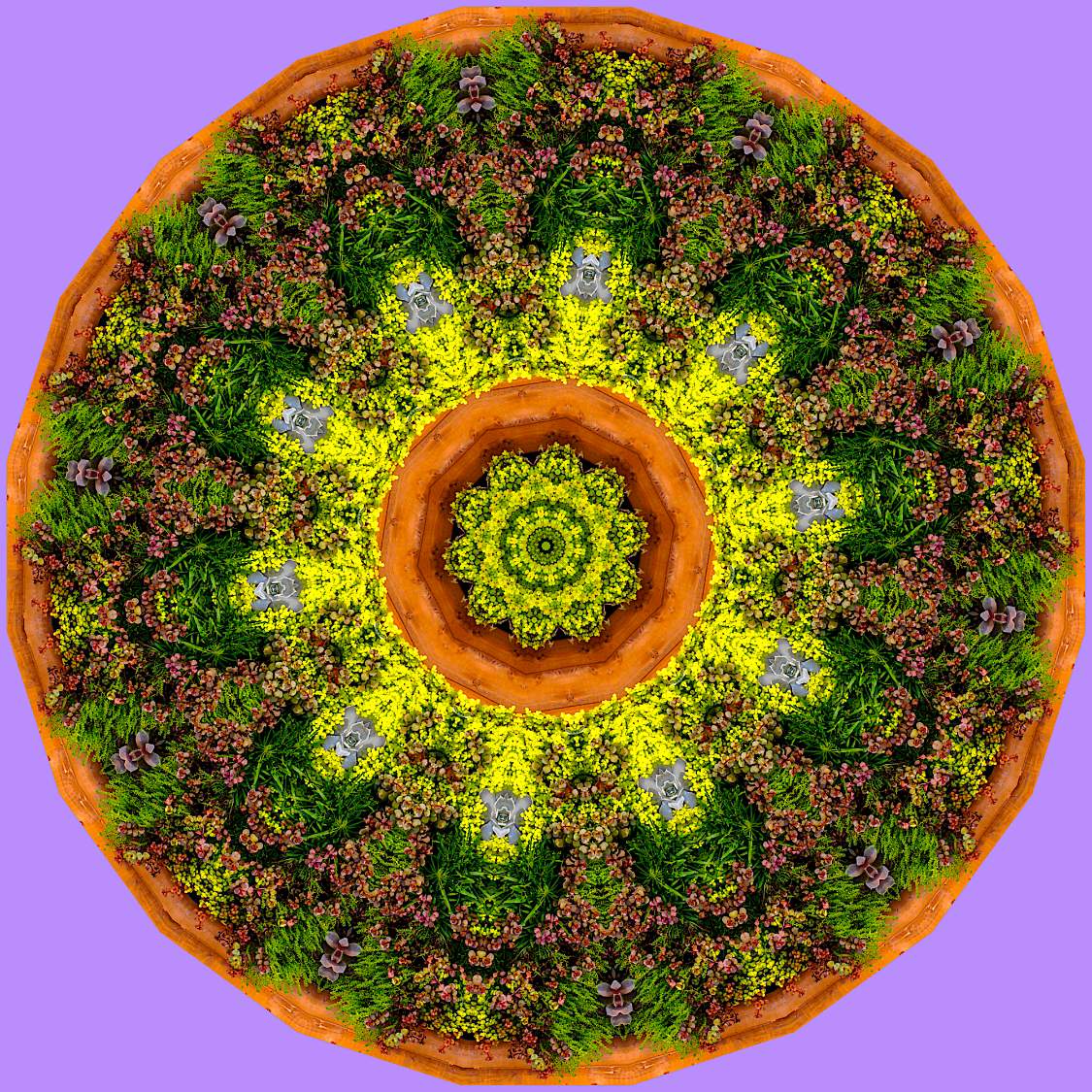 Solve 1 Small Jigsaw Puzzle Online With 64 Pieces solve-1-small-jigsaw-puzzle-online-with-64-pieces