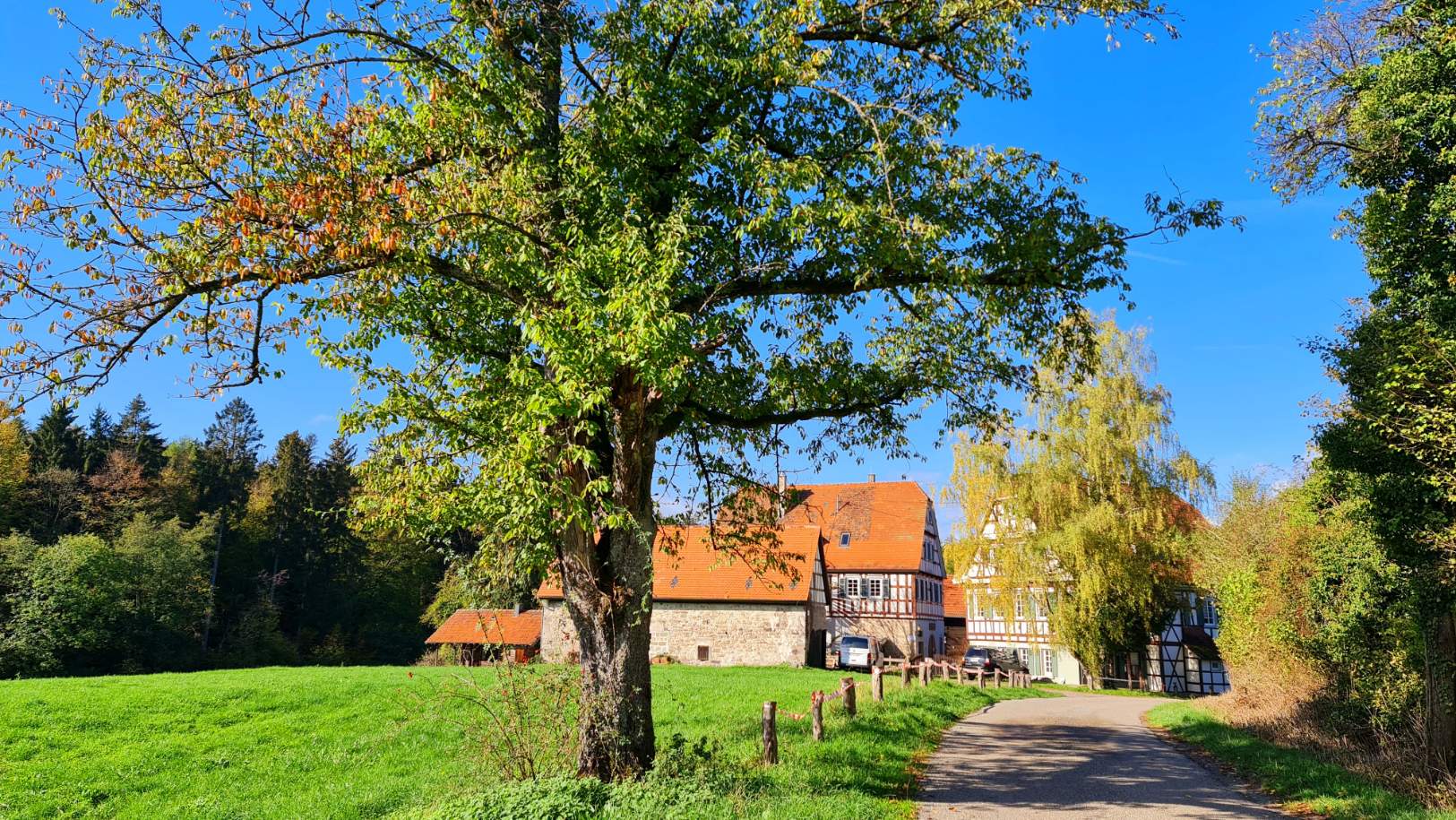 solve-spaziergang-rund-um-das-wanderheim-eschelhof-2-7-jigsaw