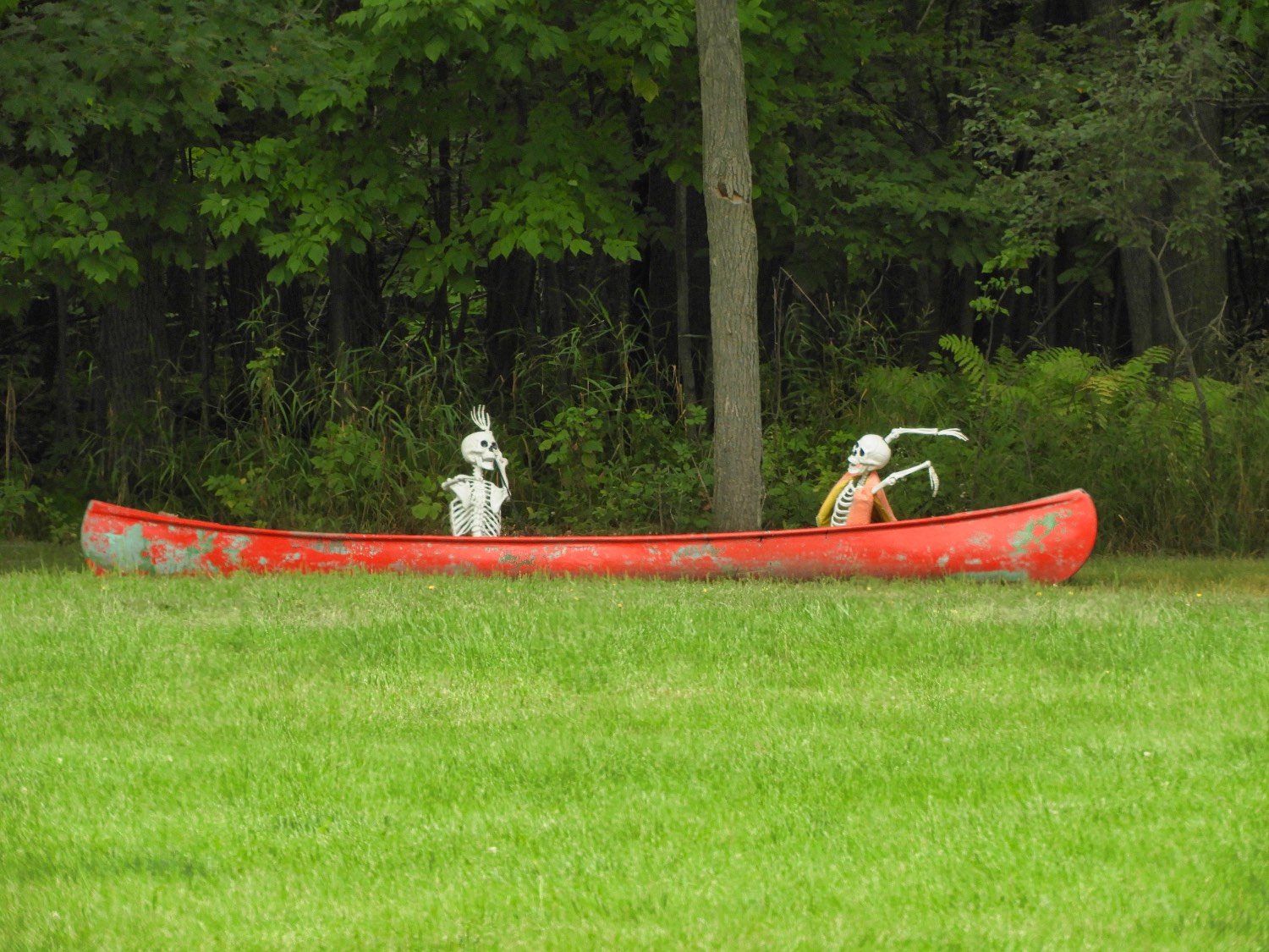 Solve They canoed too long! jigsaw puzzle online with 20 pieces