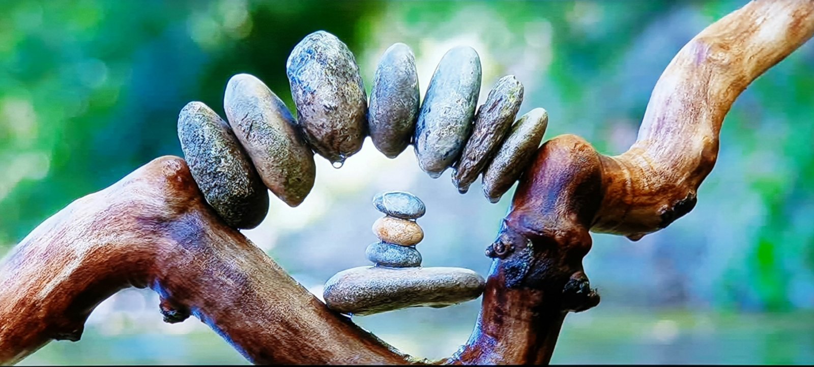 Solve QUITE A BALANCING ACT! jigsaw puzzle online with 32 pieces
