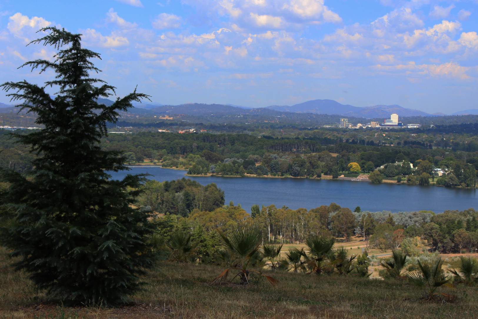 Solve Looking down at Canberra jigsaw puzzle online with 117 pieces