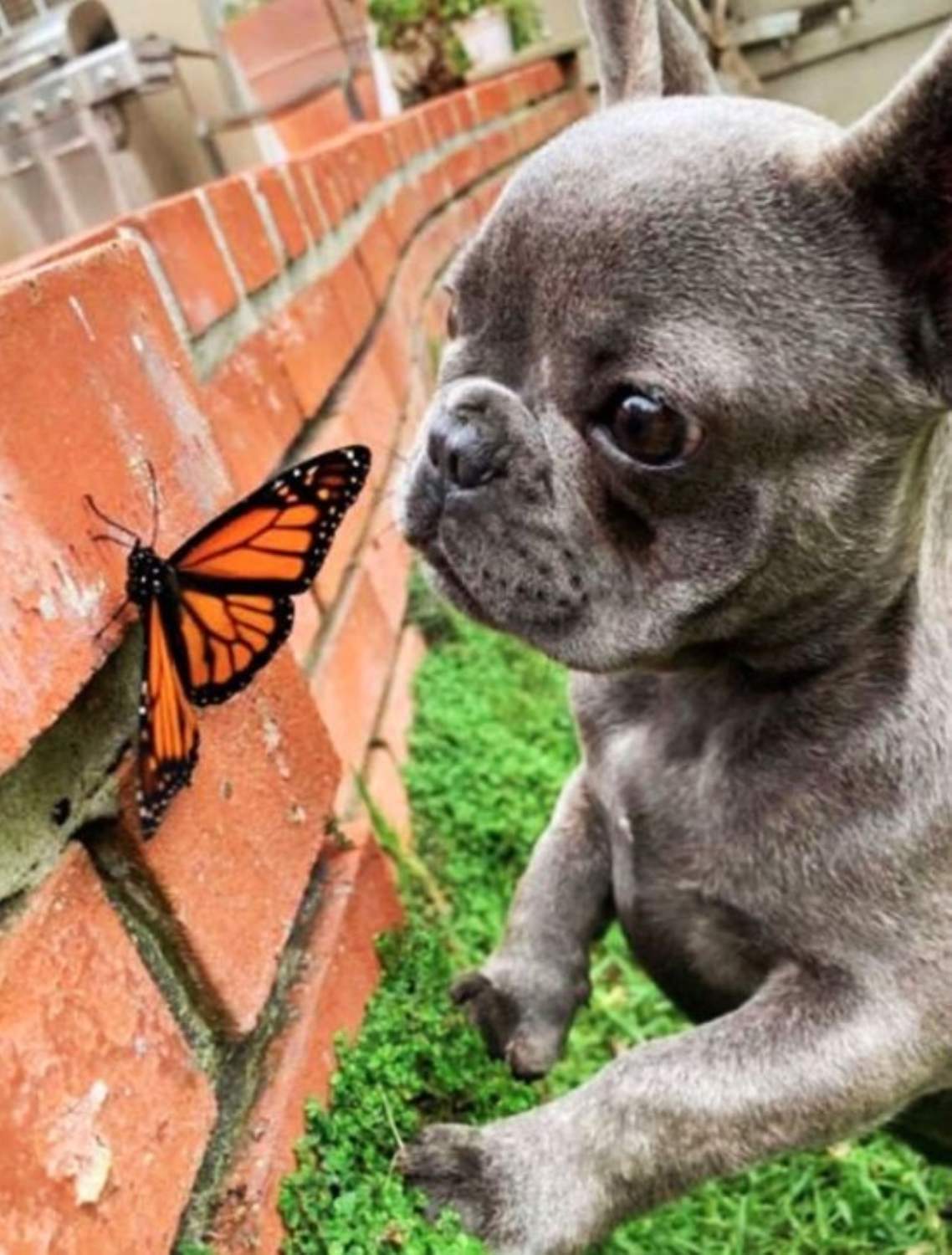 Solve A new friend jigsaw puzzle online with 300 pieces